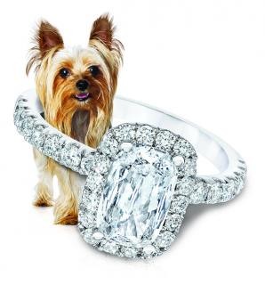 https://www.levyjewelers.com/upload/page/page_product/1463399664mr. sparkle.jpg