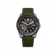 Citizen Promaster Nighthawk Military Timepiece