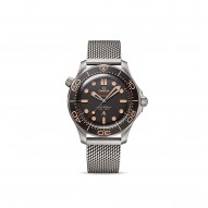 Omega Seamaster Brown Watch