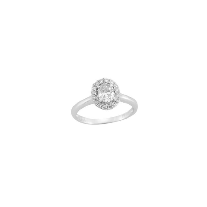 Paramount Gems 14 Karat White Gold Diamond Oval Halo Bridal Ring