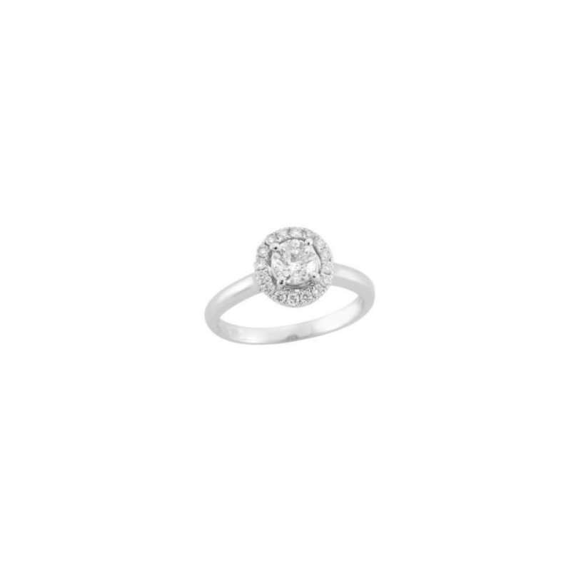 Paramount Gems 14 Karat White Gold Diamond Round Halo Bridal Ring